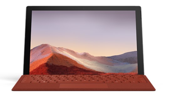 东兰清洁和维护 Surface